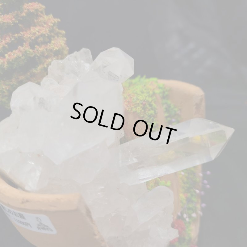 画像3: ☆11/23☆秋の実りのお庭シリーズ:EternalWing×月のかけらコラボ作品:月のかけら原石コレクション:実りのお庭5 (3)