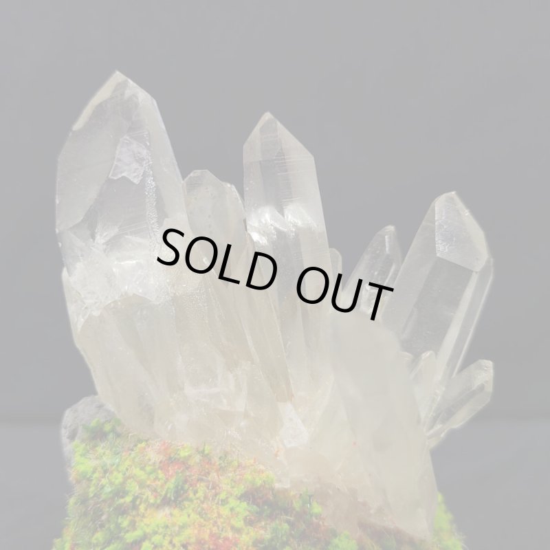 画像3: ☆11/23☆秋の実りのお庭シリーズ:EternalWing×月のかけらコラボ作品:月のかけら原石コレクション:実りのお庭1 (3)