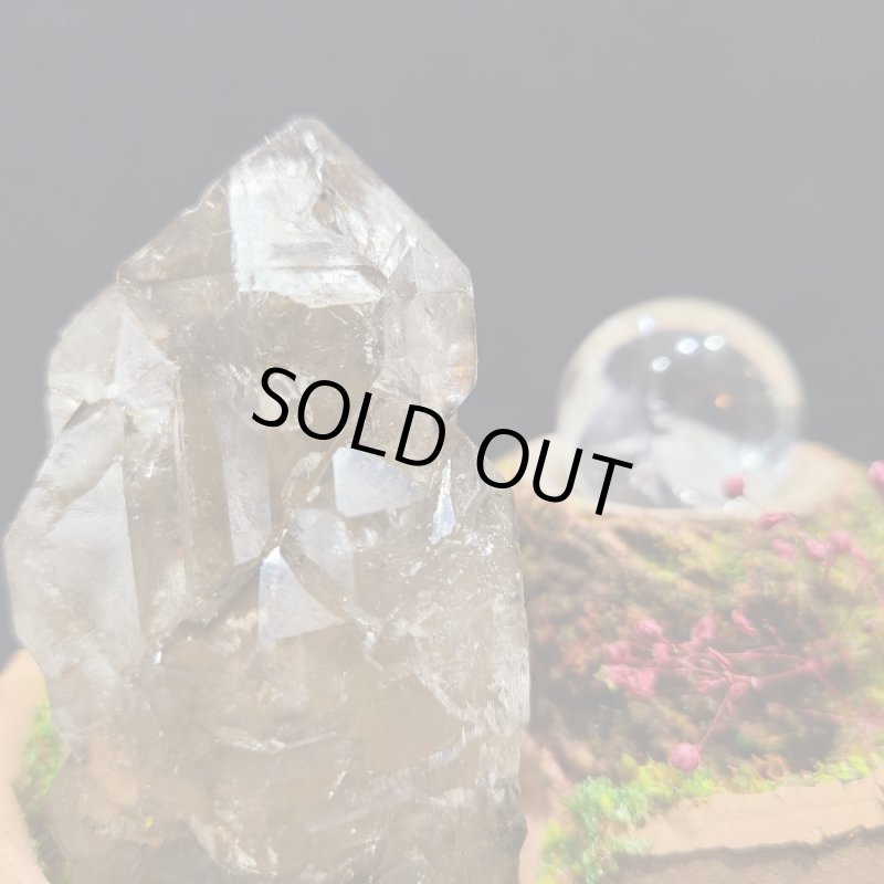 画像2: ☆11/23☆秋の実りのお庭シリーズ：EternalWing×月のかけらコラボ作品：月のかけら原石コレクション：実りのお庭10 (2)