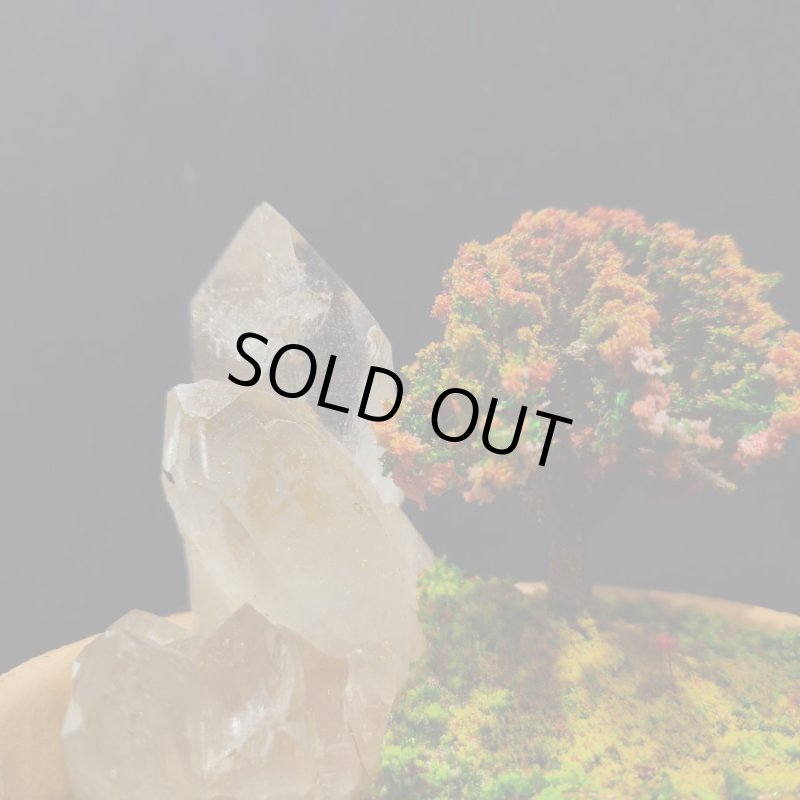 画像4: ☆11/23☆秋の実りのお庭シリーズ:EternalWing×月のかけらコラボ作品:月のかけら原石コレクション:実りのお庭6 (4)