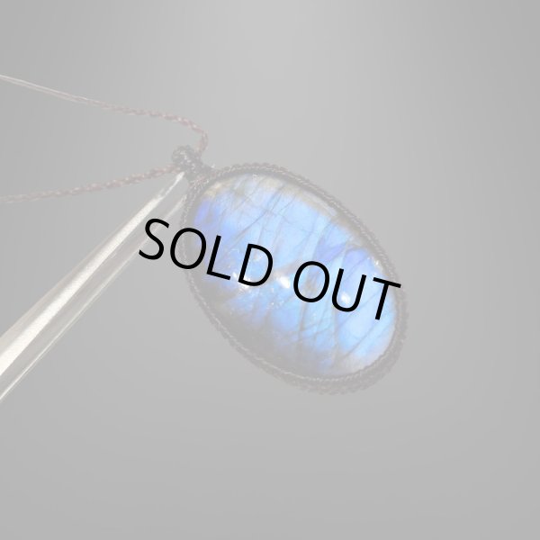 ブルートランスフォーメーション13