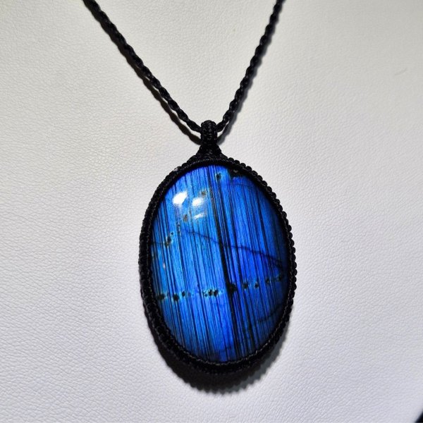 Ankh Light（アンクの光）