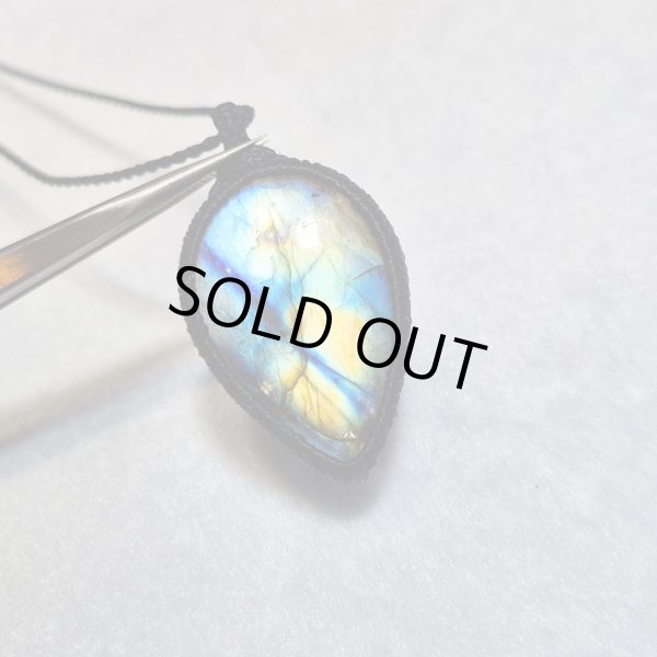 Light Code（光のコード）