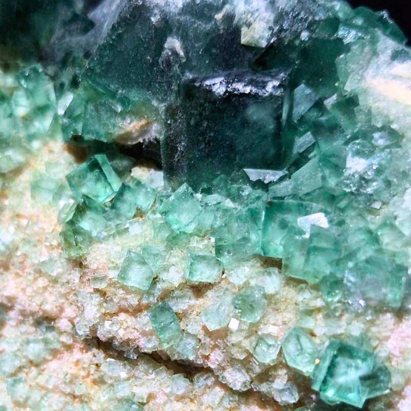 画像1: ☆12/03UP☆美しい蛍光フローライト；中国四川産；天然の紫、緑、クリアからできる美しい結晶：地球の作り出した色：Clarity Leaf（クラリティ・リーフ） (1)