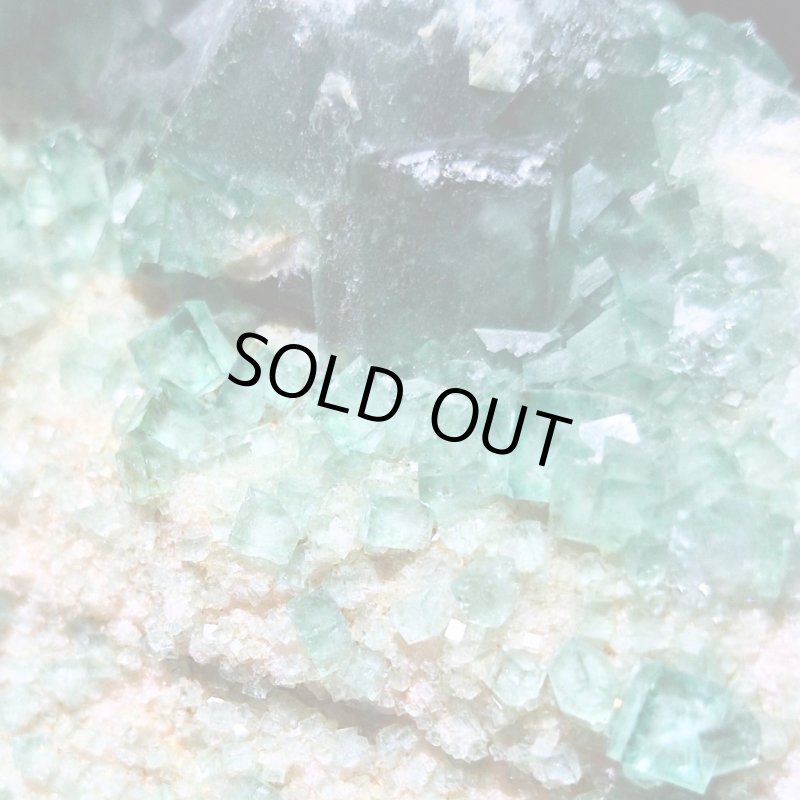 画像1: ☆12/03UP☆美しい蛍光フローライト；中国四川産；天然の紫、緑、クリアからできる美しい結晶：地球の作り出した色：Clarity Leaf（クラリティ・リーフ） (1)