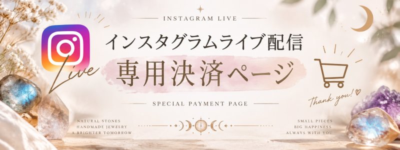 画像1: ●●様専用決済ページ (1)