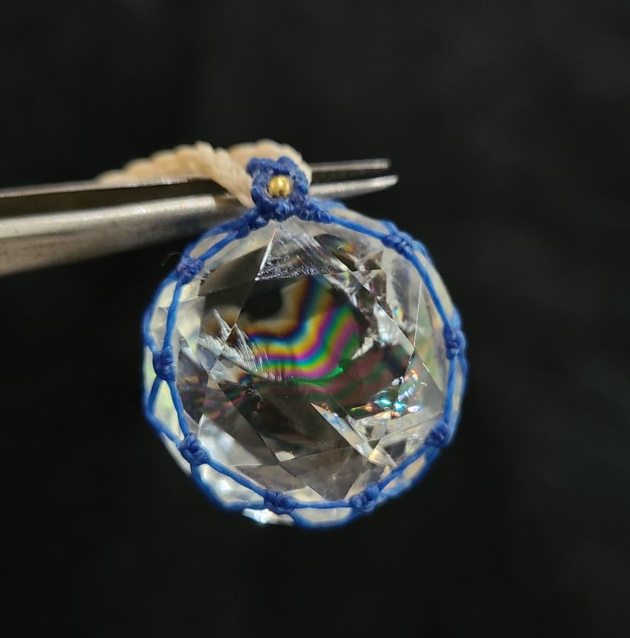 サマーレインボー10 サマーレインボー10